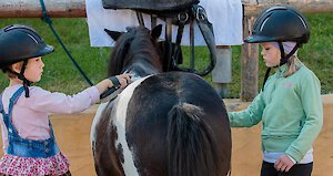 Pferde striegeln im Hotel Landhaus zur Ohe